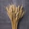 Ashland® Natural Wheat Bunch